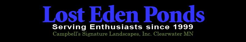 Campbell's Signature Landscapes / Pond  Builder and Landscaping Service / Ponds, pond repair, swimming ponds, sustainable landscapes, rain gardens, water gardens